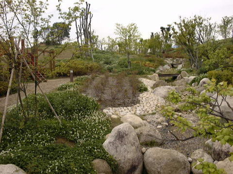 Dsc001411.jpg