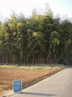 施工前②.jpg