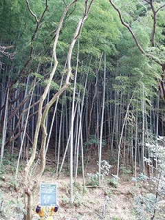 施工前③.jpg