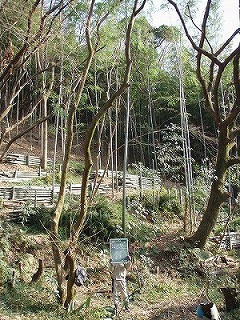 施工後③.jpg