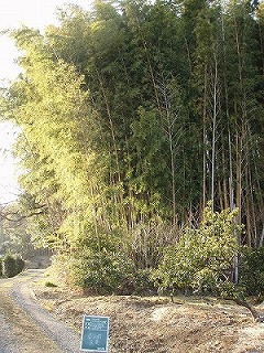 施工前⑤.jpg