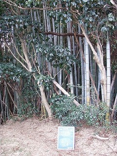 施工前①.jpg